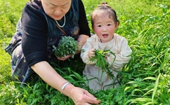 软糯受趴着顶撞H